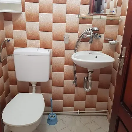 цвета Sinemoretz