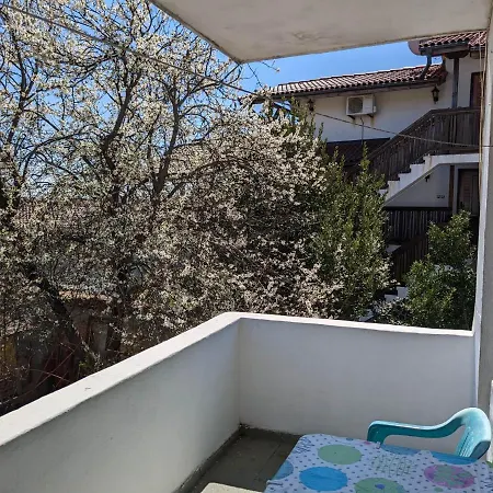 Πανσιόν цвета