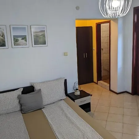 цвета 3* Sinemoretz