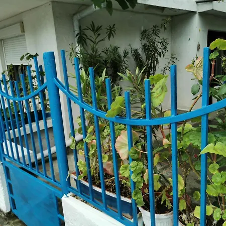 цвета 3* Sinemoretz