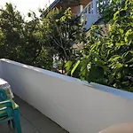 цвета בית הארחה