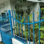цвета 3* סינמורץ