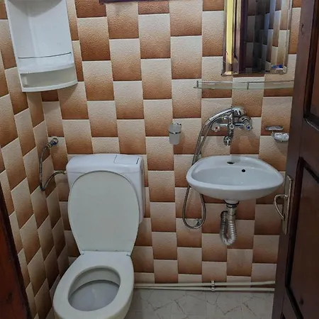 Penzion цвета Sinemorec