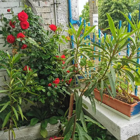 цвета Gasthof 3*