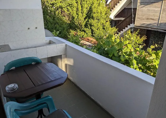 цвета 3* Синеморец