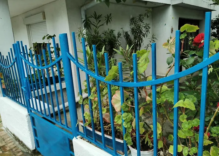 цвета 3* Синеморец